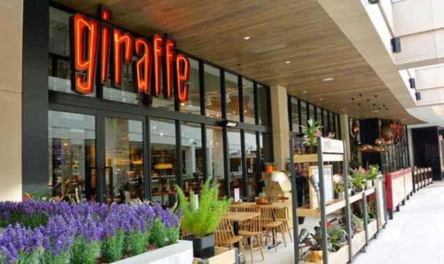 Giraffe restaurant banner